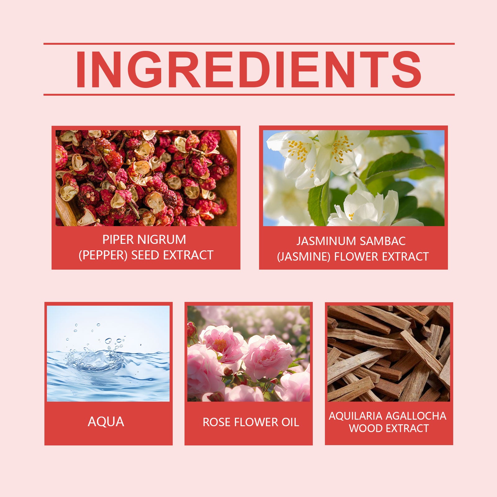 Spring Perfume Spicy Rose Fresh Natural Light Fragrance Portable Fragrance Exudes Personal Charm Perfume - ArtElement