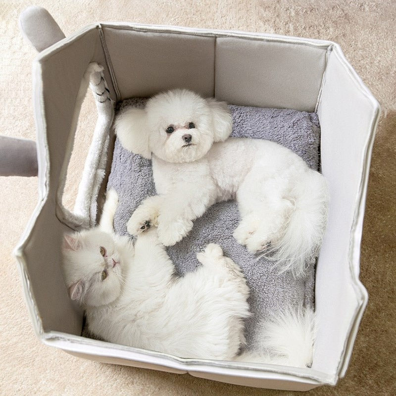 Pet resting inside the house, demonstrating its cozy and secure design.

