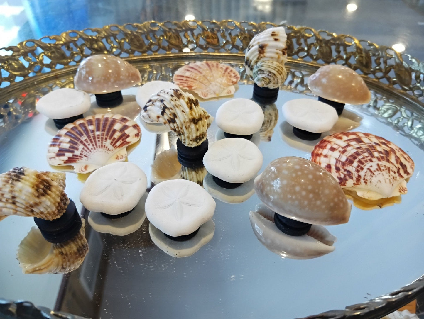 Echte Muschelmagnete – Handgefertigte Kühlschrankdekoration im Küstenstil