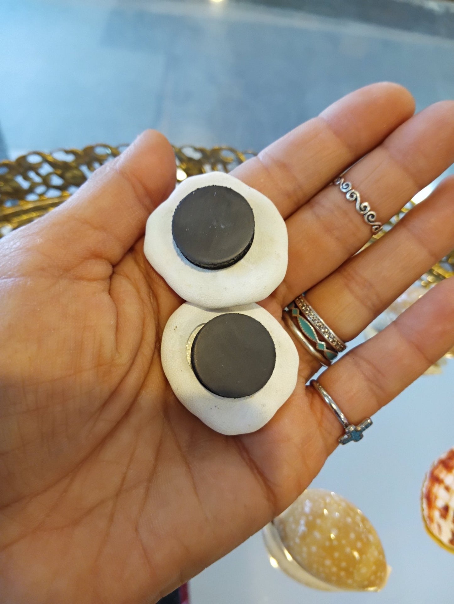 Echte Muschelmagnete – Handgefertigte Kühlschrankdekoration im Küstenstil